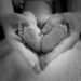 Naturopathic Doula: Postpartum Care for Mom & Baby.Postpartum Naturopathic Doula: How we can help! Bringing a baby into the world is one of life’s most joyous and transformative experiences. However, the postpartum period—when you are adjusting to life with a new baby and navigating the recovery process—can be equally challenging. In those early weeks (and beyond), it’s easy to feel overwhelmed by the physical, emotional, and mental demands that come with this transition. This is where a naturopathic doula can play a crucial role in supporting the entire family.