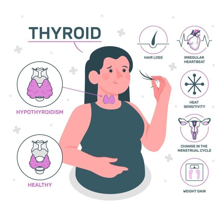 How Hashimoto’s Impacts Fertility & Pregnancy