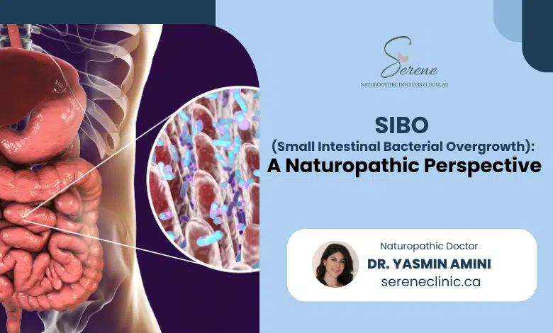 SIBO (Small Intestinal Bacterial Overgrowth): A Naturopathic Perspective