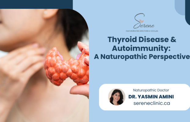 Thyroid Disease & Autoimmunity: A Naturopathic Perspective