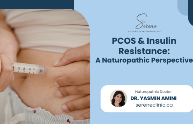 PCOS & Insulin Resistance: A Naturopathic Perspective