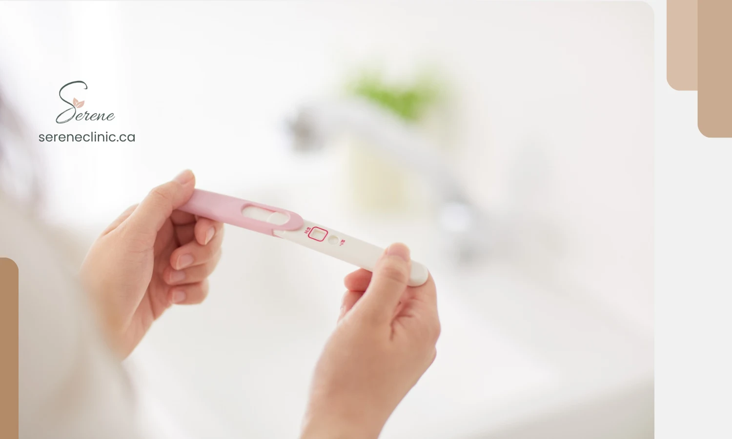 Naturopathic Fertility Support: What to Expect